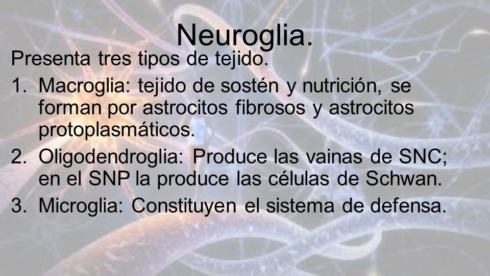 Neuroglia. Presenta tres tipos de tejido.