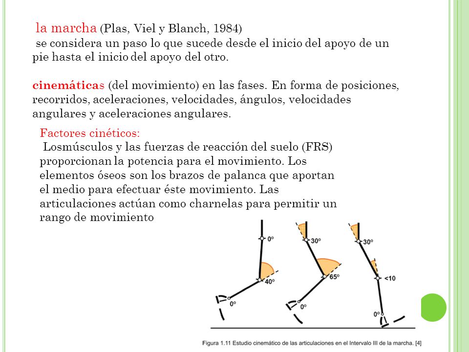 la marcha (Plas, Viel y Blanch, 1984)