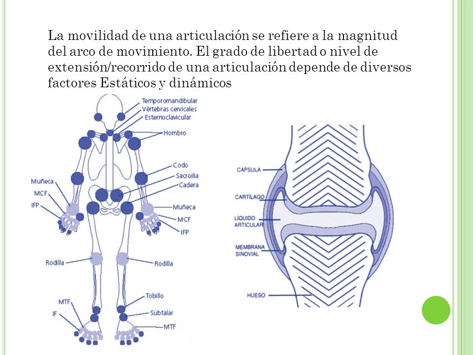 La movilidad de una articulación se refiere a la magnitud del arco de movimiento.