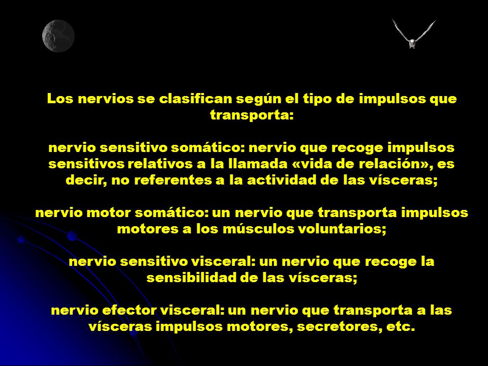Los nervios se clasifican según el tipo de impulsos que transporta: