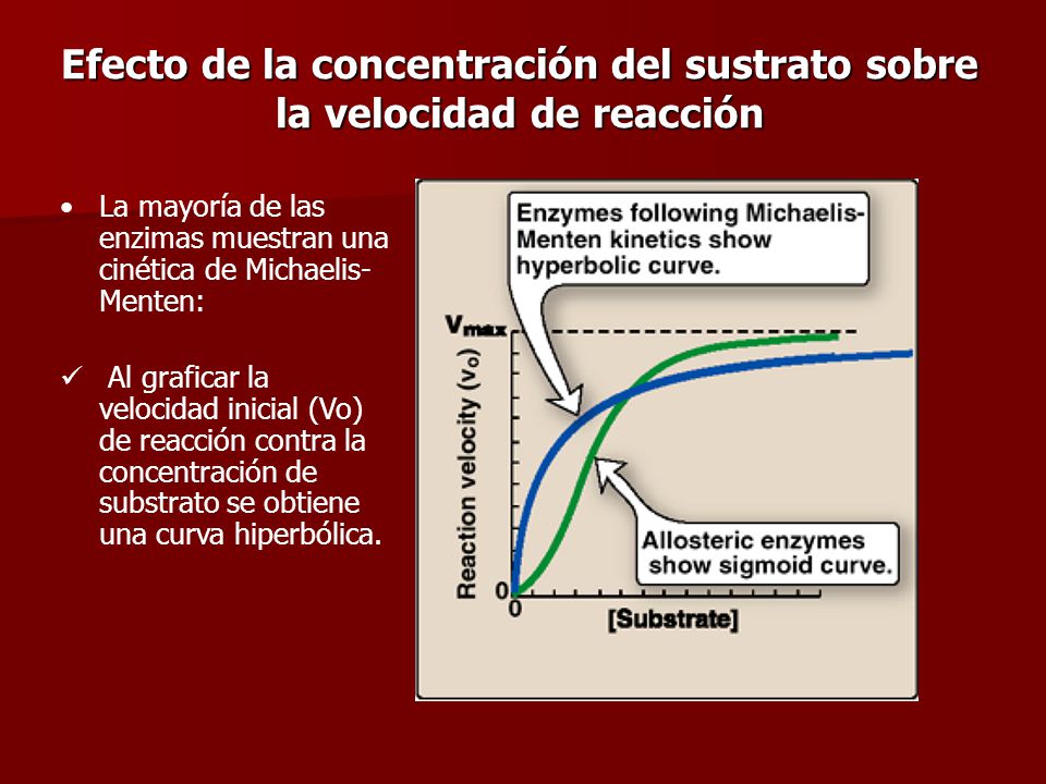 Efecto de la concentración del sustrato sobre la velocidad de reacción