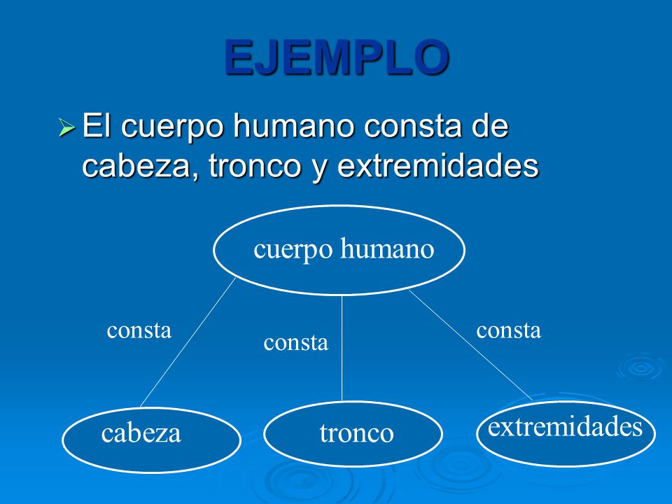 EJEMPLO El cuerpo humano consta de cabeza, tronco y extremidades