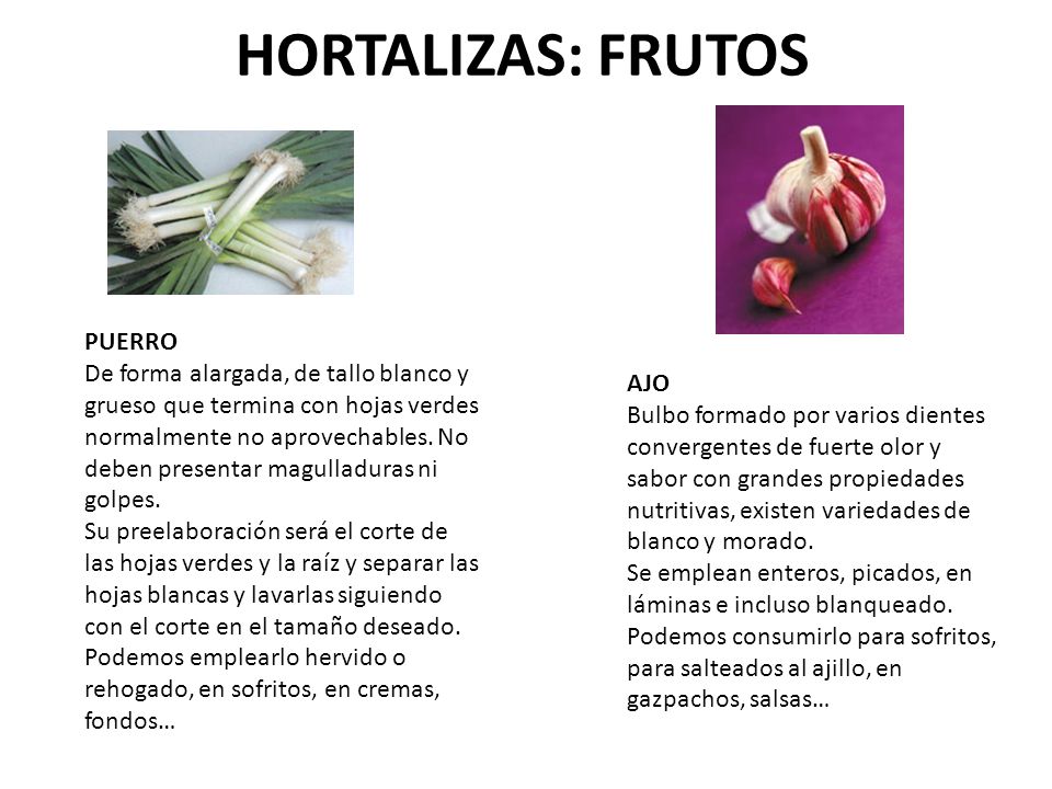 Hortalizas Clasificacion Ppt Video Online Descargar