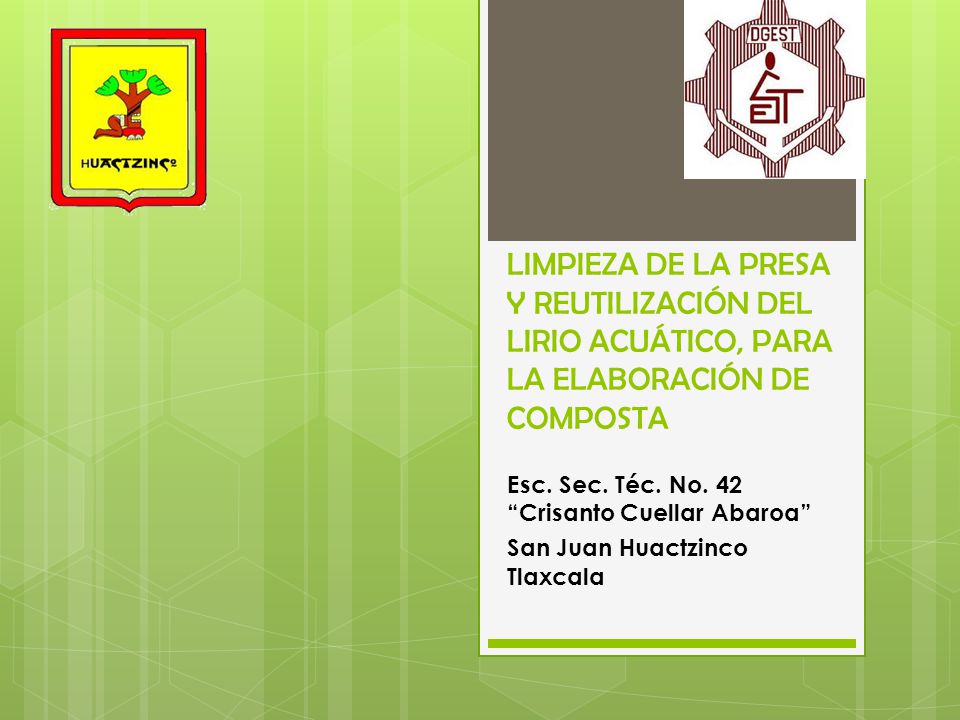 LIMPIEZA DE LA PRESA Y REUTILIZACIÓN DEL LIRIO ACUÁTICO, PARA LA ELABORACIÓN DE COMPOSTA