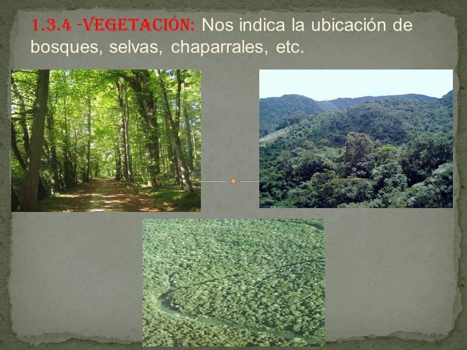 Vegetación: Nos indica la ubicación de bosques, selvas, chaparrales, etc.
