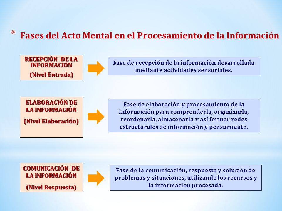 Fases del Acto Mental en el Procesamiento de la Información