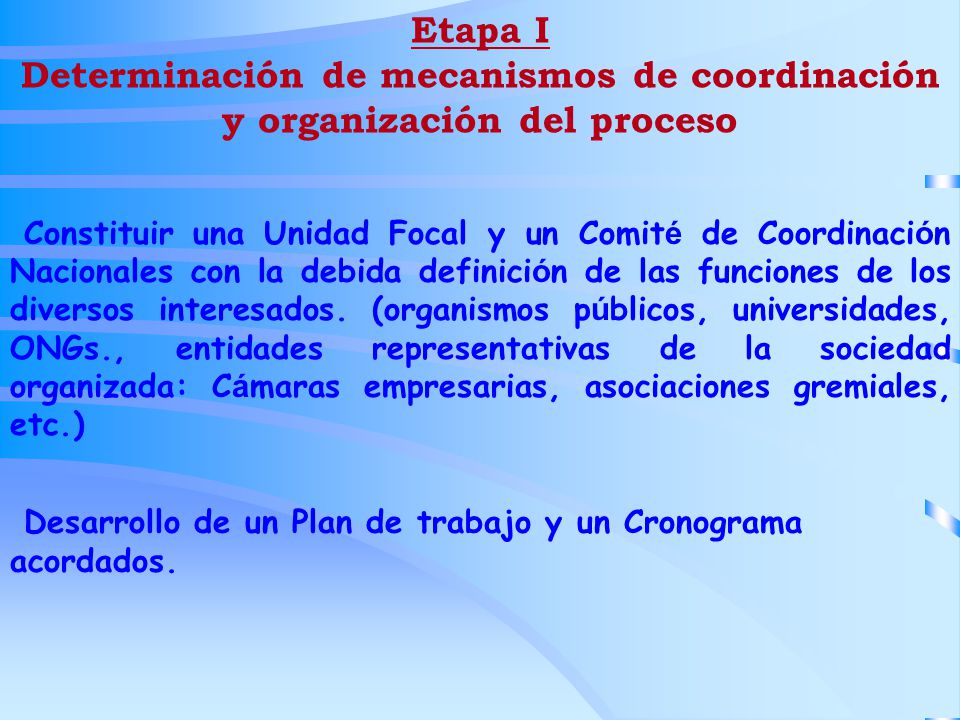Determinación de mecanismos de coordinación y organización del proceso