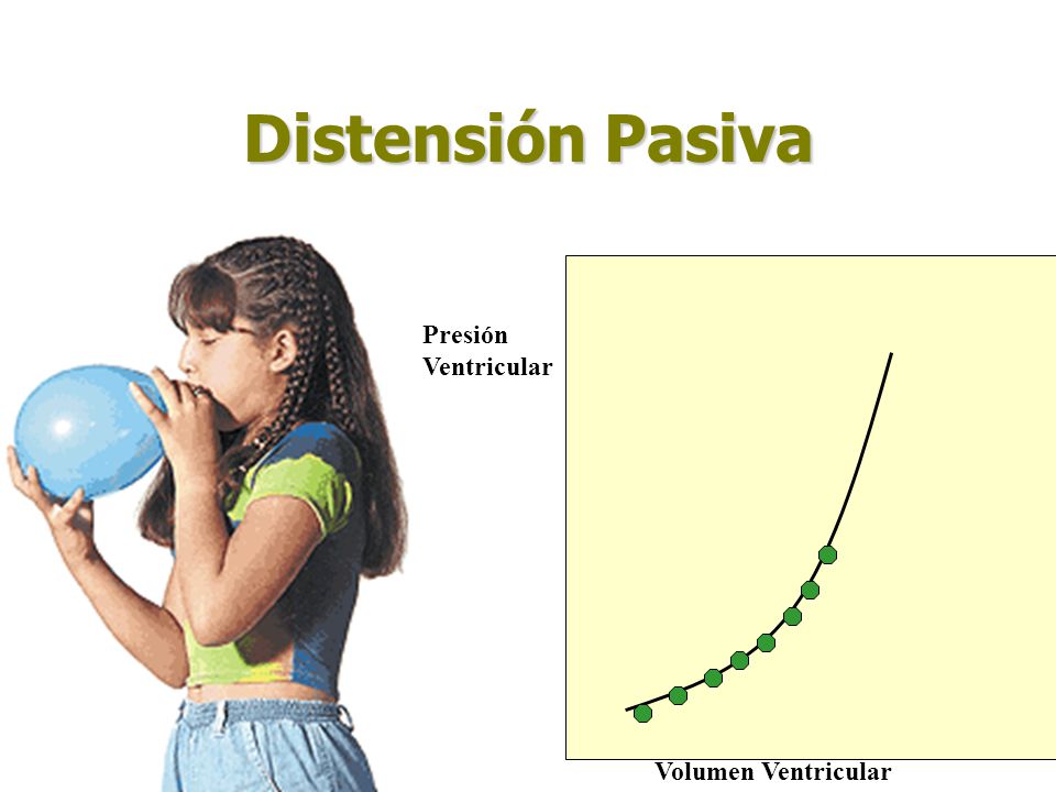 Distensión Pasiva Presión Ventricular Volumen Ventricular