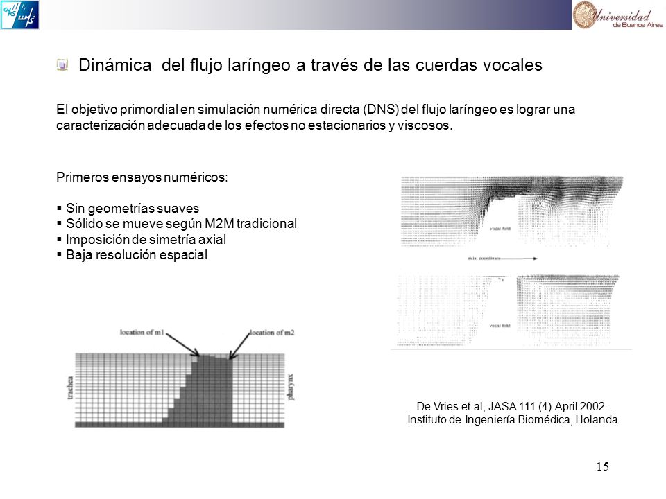 Dinámica del flujo laríngeo a través de las cuerdas vocales