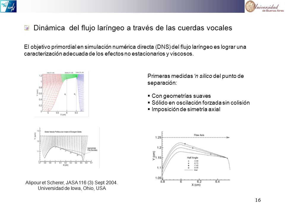 Dinámica del flujo laríngeo a través de las cuerdas vocales