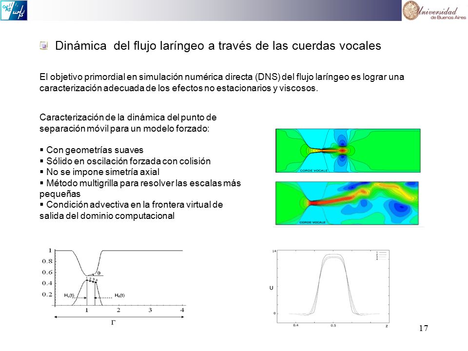 Dinámica del flujo laríngeo a través de las cuerdas vocales