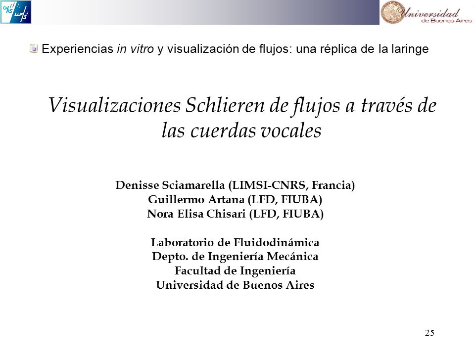 Visualizaciones Schlieren de flujos a través de las cuerdas vocales