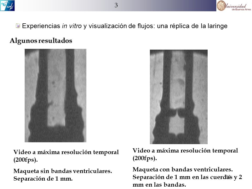 3 Experiencias in vitro y visualización de flujos: una réplica de la laringe. Algunos resultados. Video a máxima resolución temporal (200fps).