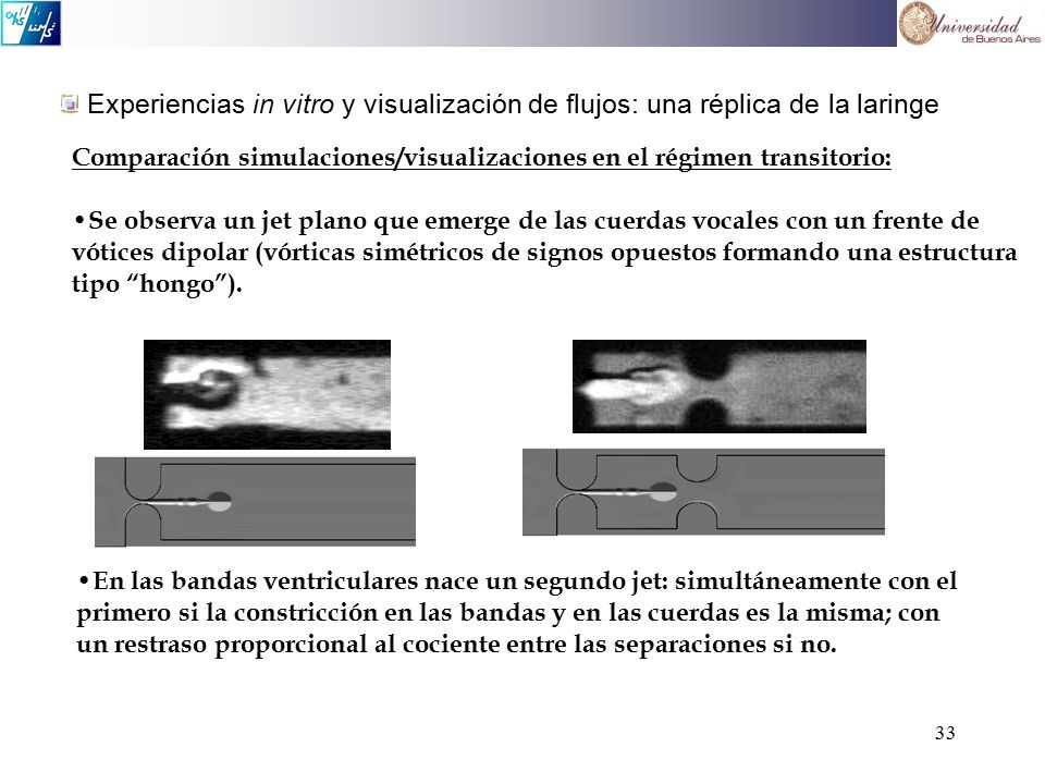 Experiencias in vitro y visualización de flujos: una réplica de la laringe