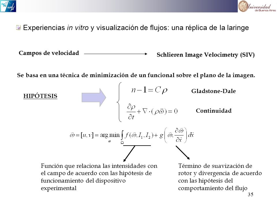 Experiencias in vitro y visualización de flujos: una réplica de la laringe