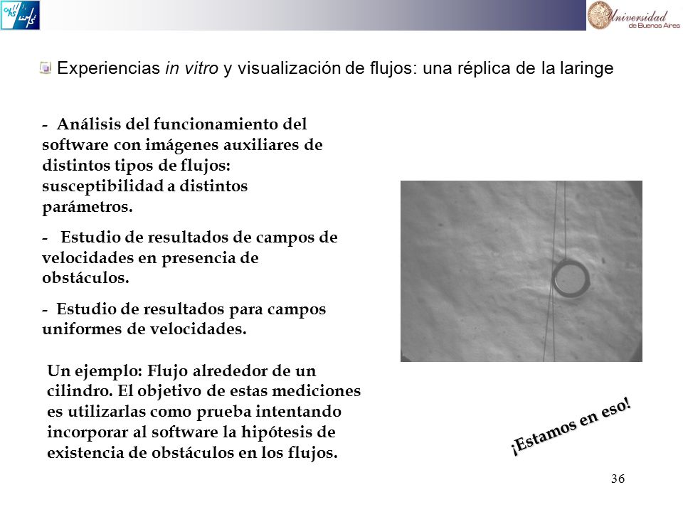 Experiencias in vitro y visualización de flujos: una réplica de la laringe