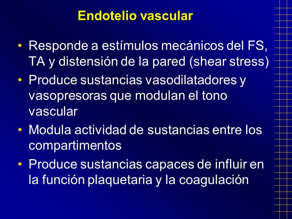 Endotelio vascular Responde a estímulos mecánicos del FS, TA y distensión de la pared (shear stress)