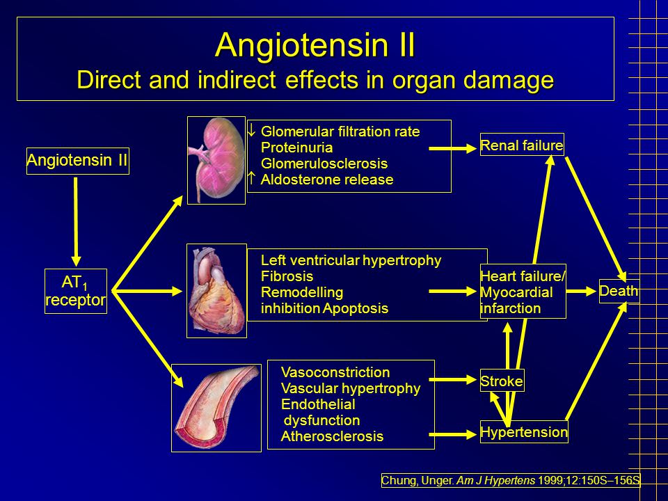 Angiotensin II Direct and indirect effects in organ damage