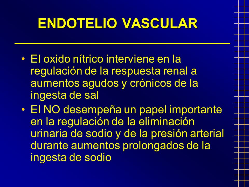 ENDOTELIO VASCULAR El oxido nítrico interviene en la regulación de la respuesta renal a aumentos agudos y crónicos de la ingesta de sal.