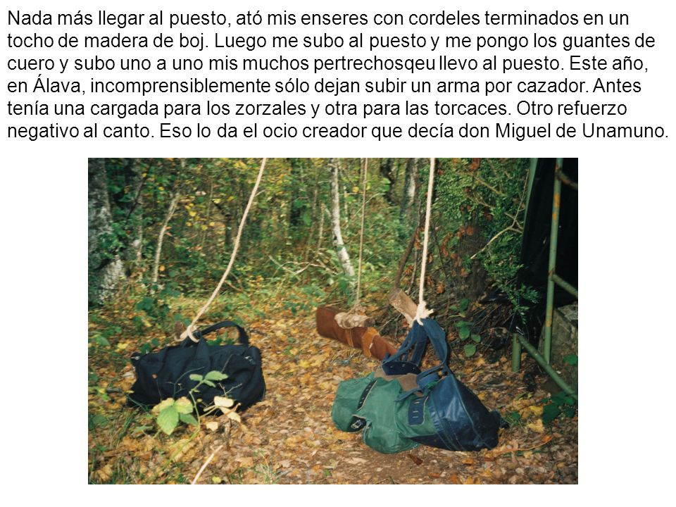 Nada más llegar al puesto, ató mis enseres con cordeles terminados en un tocho de madera de boj.