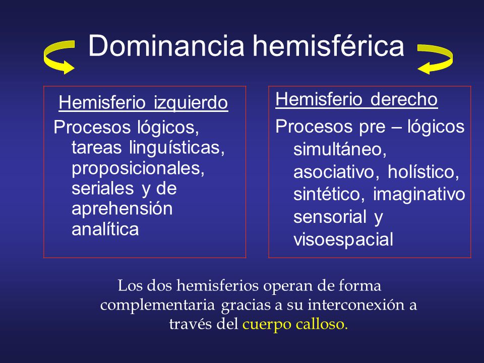 Dominancia hemisférica