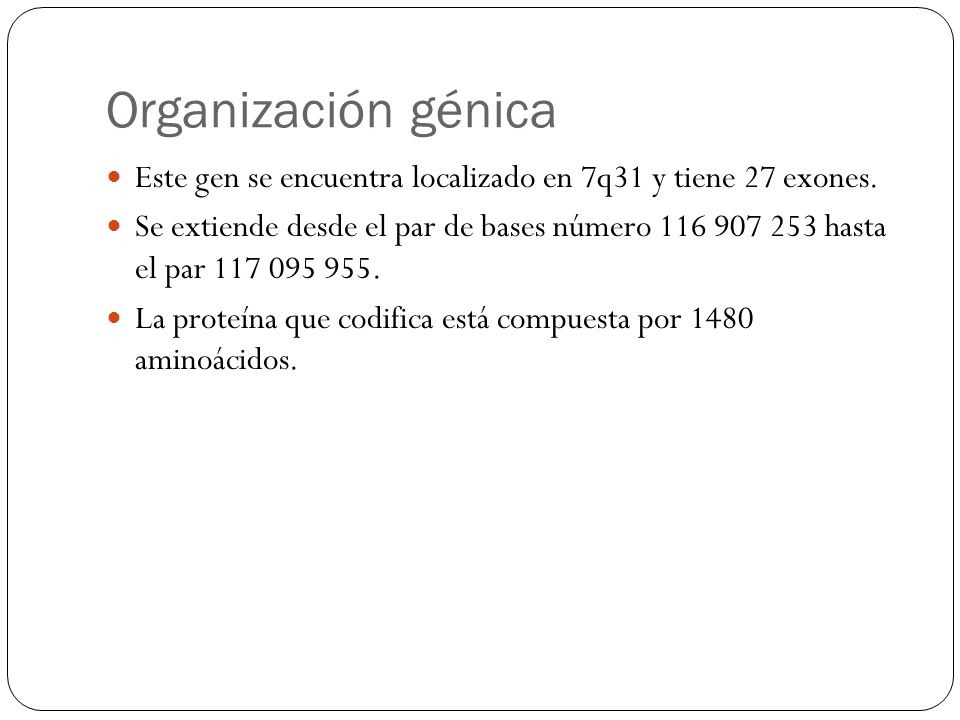 Organización génica Este gen se encuentra localizado en 7q31 y tiene 27 exones.