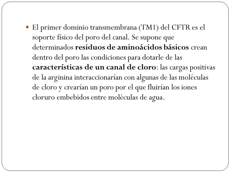 El primer dominio transmembrana (TM1) del CFTR es el soporte físico del poro del canal.