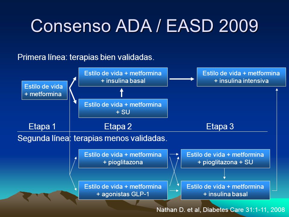Consenso ADA / EASD 2009 Primera línea: terapias bien validadas.