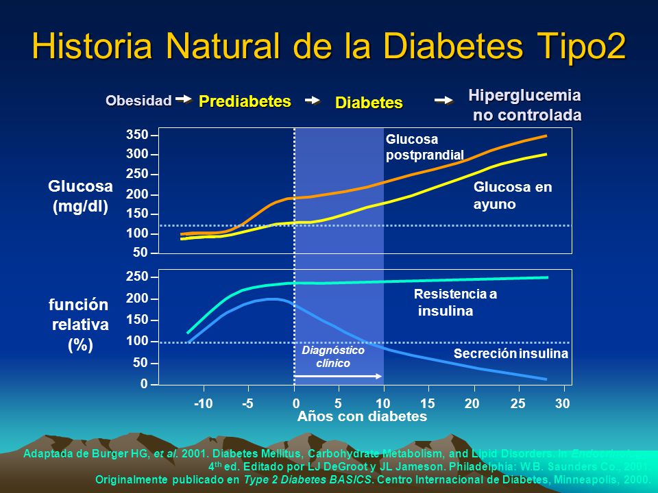 Historia Natural de la Diabetes Tipo2