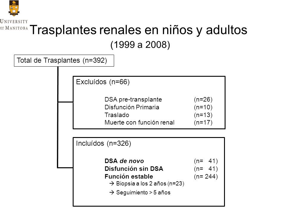 Trasplantes renales en niños y adultos (1999 a 2008)