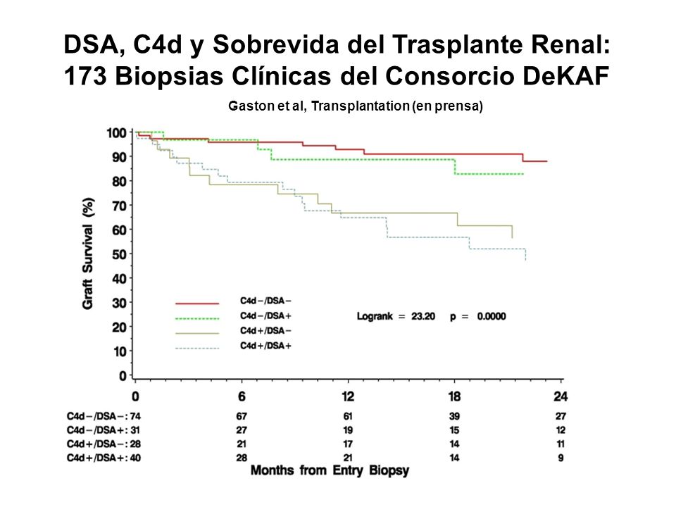 DSA, C4d y Sobrevida del Trasplante Renal: 173 Biopsias Clínicas del Consorcio DeKAF
