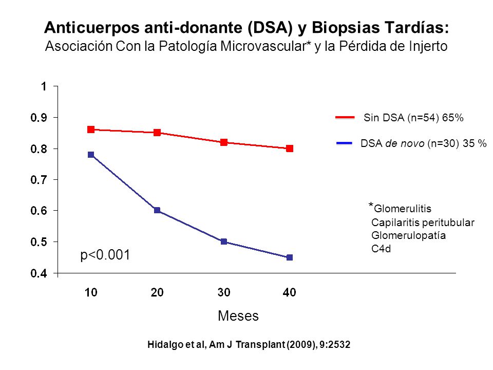 Anticuerpos anti-donante (DSA) y Biopsias Tardías: Asociación Con la Patología Microvascular* y la Pérdida de Injerto