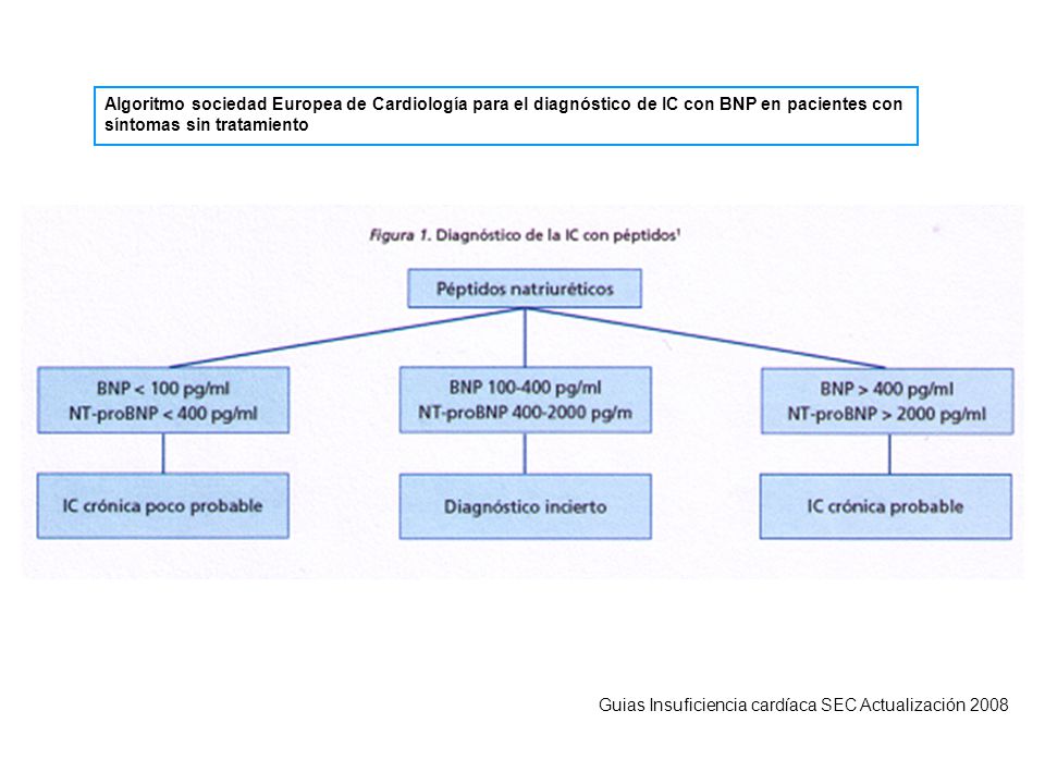 Algoritmo sociedad Europea de Cardiología para el diagnóstico de IC con BNP en pacientes con síntomas sin tratamiento