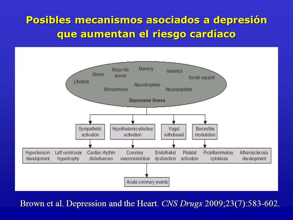 Posibles mecanismos asociados a depresión que aumentan el riesgo cardíaco