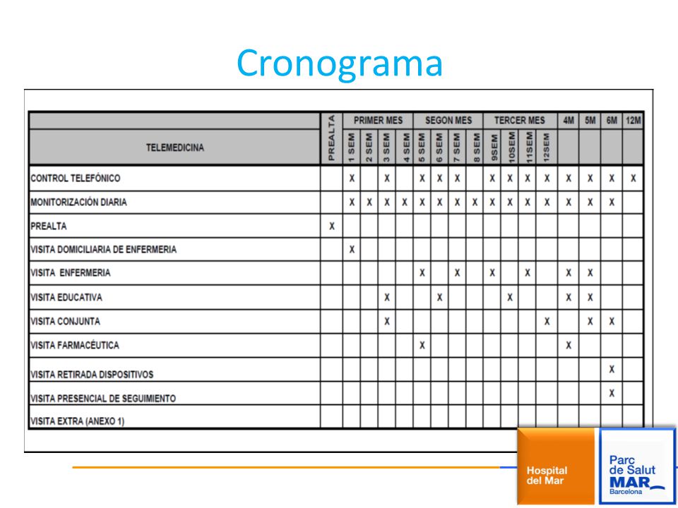 Cronograma