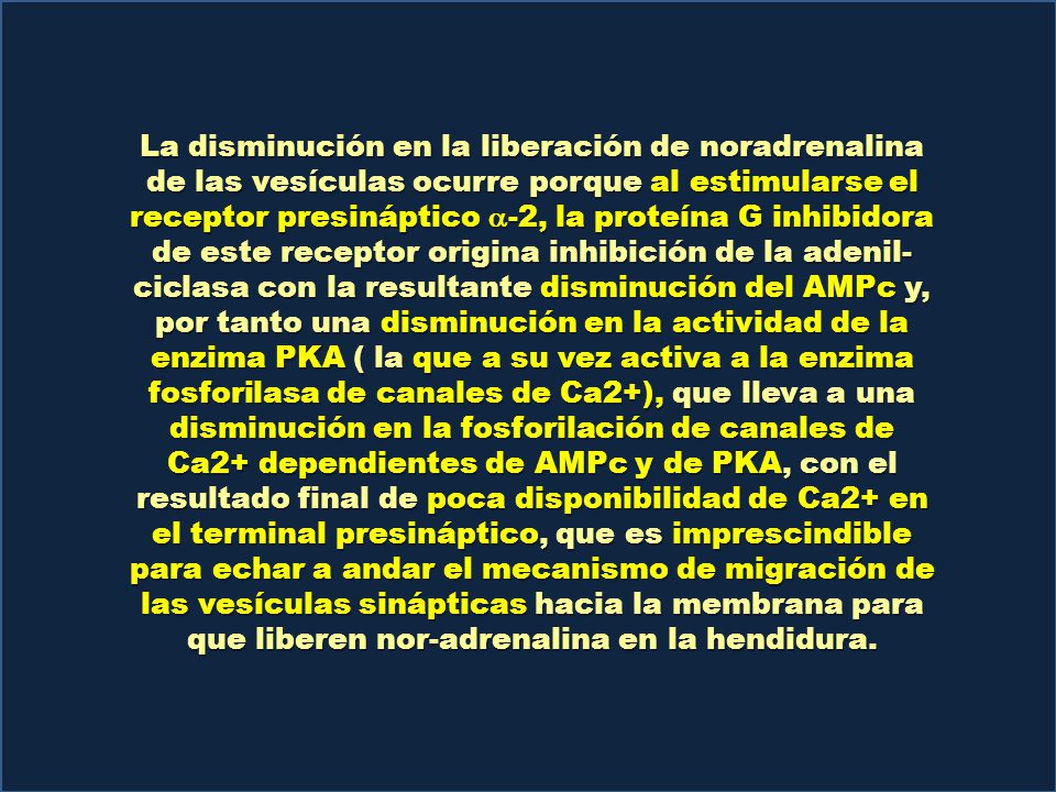 La disminución en la liberación de noradrenalina de las vesículas ocurre porque al estimularse el receptor presináptico a-2, la proteína G inhibidora de este receptor origina inhibición de la adenil-ciclasa con la resultante disminución del AMPc y, por tanto una disminución en la actividad de la enzima PKA ( la que a su vez activa a la enzima fosforilasa de canales de Ca2+), que lleva a una disminución en la fosforilación de canales de Ca2+ dependientes de AMPc y de PKA, con el resultado final de poca disponibilidad de Ca2+ en el terminal presináptico, que es imprescindible para echar a andar el mecanismo de migración de las vesículas sinápticas hacia la membrana para que liberen nor-adrenalina en la hendidura.