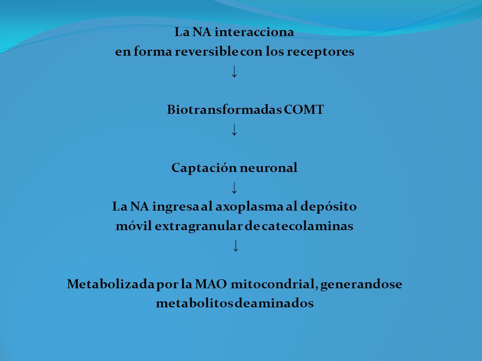 en forma reversible con los receptores ↓ Biotransformadas COMT