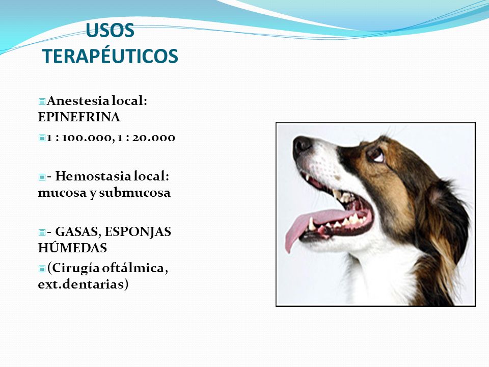 USOS TERAPÉUTICOS Anestesia local: EPINEFRINA 1 : , 1 :