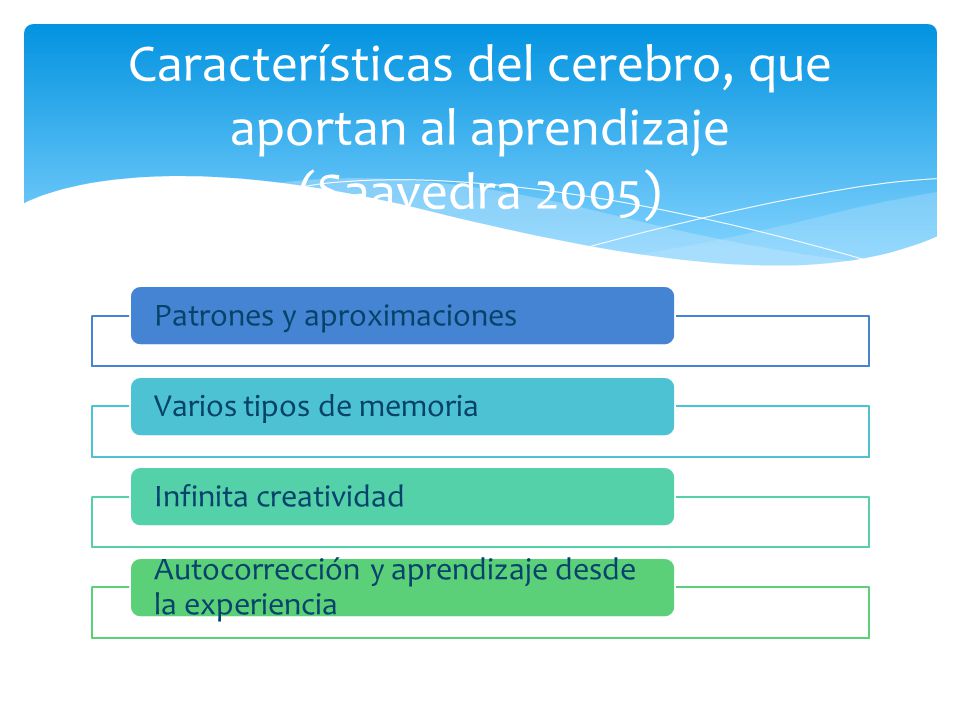 Características del cerebro, que aportan al aprendizaje (Saavedra 2005)
