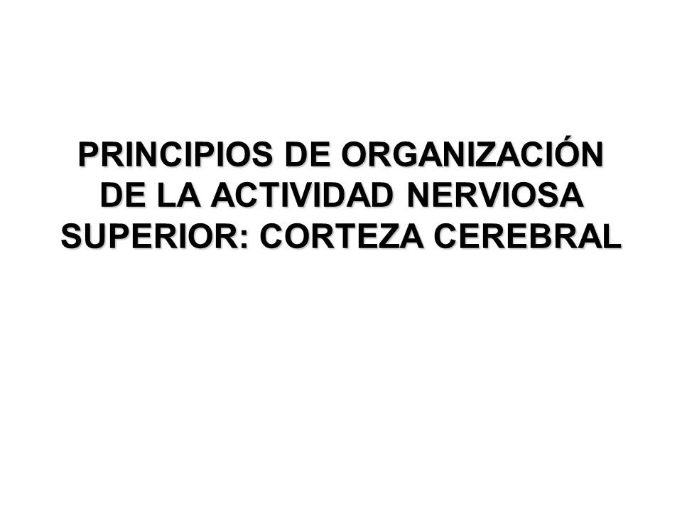 PRINCIPIOS DE ORGANIZACIÓN DE LA ACTIVIDAD NERVIOSA SUPERIOR: CORTEZA CEREBRAL