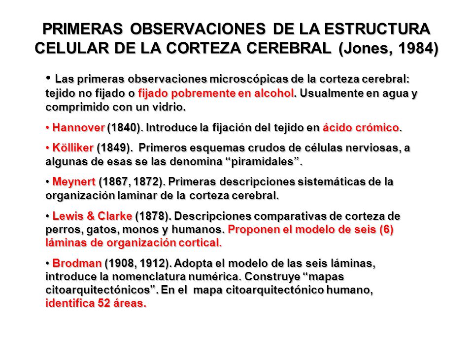 PRIMERAS OBSERVACIONES DE LA ESTRUCTURA CELULAR DE LA CORTEZA CEREBRAL (Jones, 1984)‏