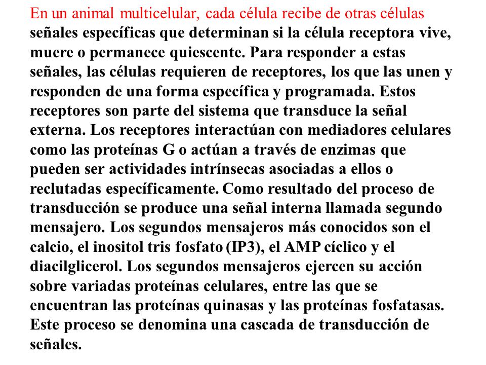 En un animal multicelular, cada célula recibe de otras células señales específicas que determinan si la célula receptora vive, muere o permanece quiescente.