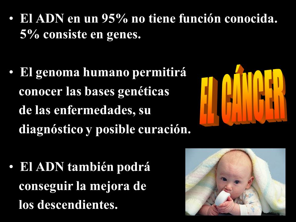 El ADN en un 95% no tiene función conocida. 5% consiste en genes.
