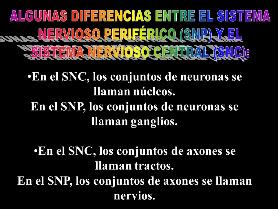 ALGUNAS DIFERENCIAS ENTRE EL SISTEMA NERVIOSO PERIFÉRICO (SNP) Y EL