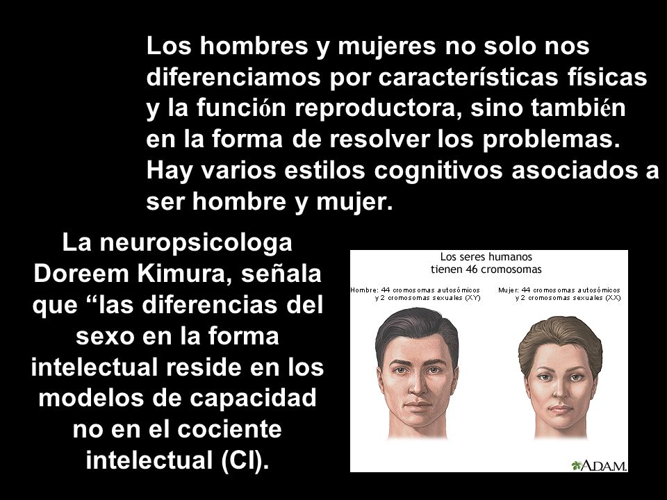 Los hombres y mujeres no solo nos diferenciamos por características físicas y la función reproductora, sino también en la forma de resolver los problemas. Hay varios estilos cognitivos asociados a ser hombre y mujer.
