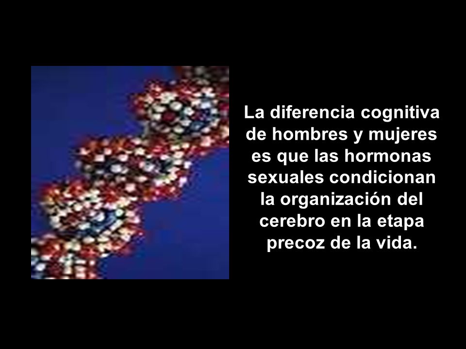 La diferencia cognitiva de hombres y mujeres es que las hormonas sexuales condicionan la organización del cerebro en la etapa precoz de la vida.