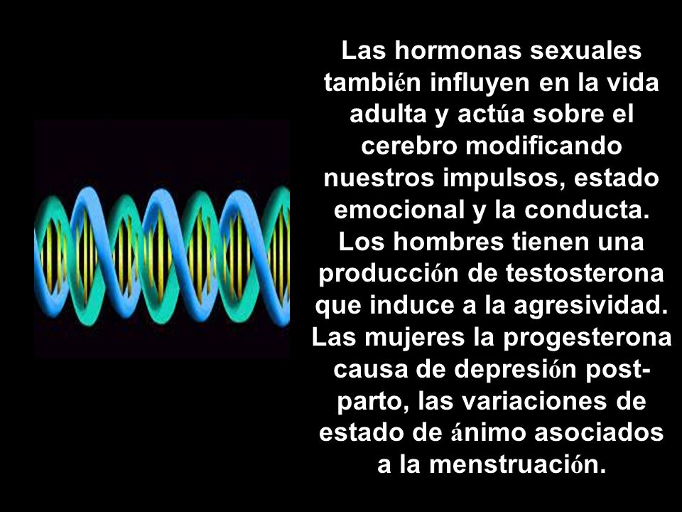Las hormonas sexuales también influyen en la vida adulta y actúa sobre el cerebro modificando nuestros impulsos, estado emocional y la conducta.