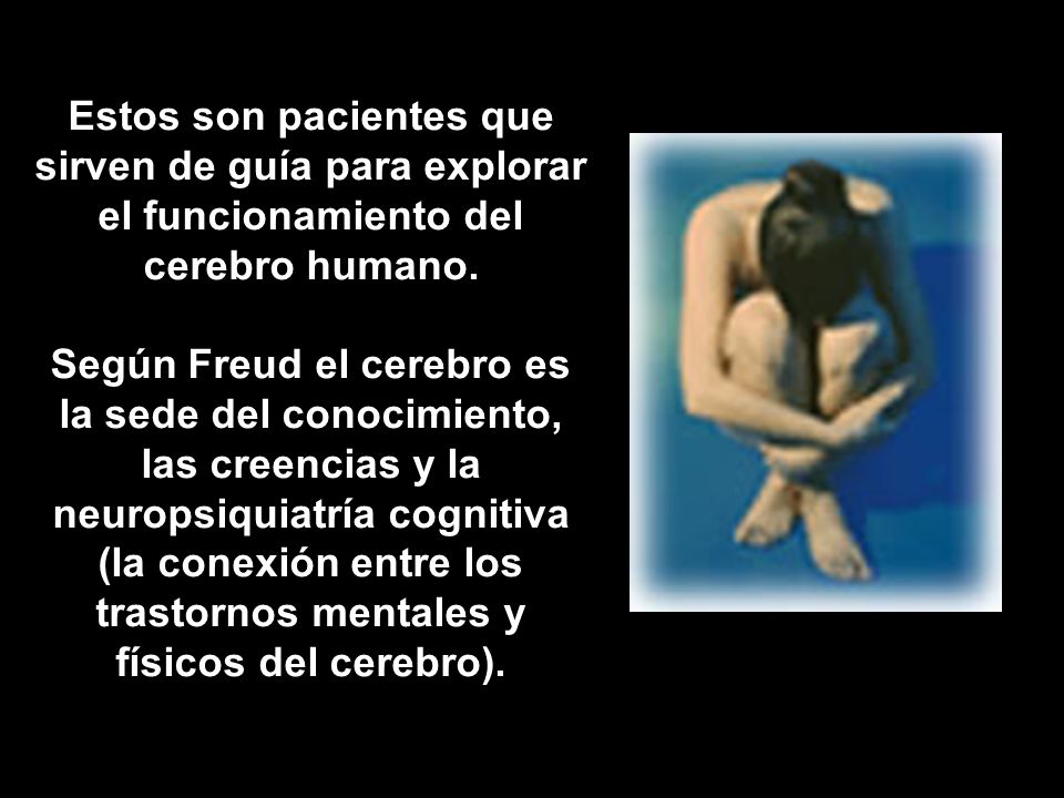 Estos son pacientes que sirven de guía para explorar el funcionamiento del cerebro humano.