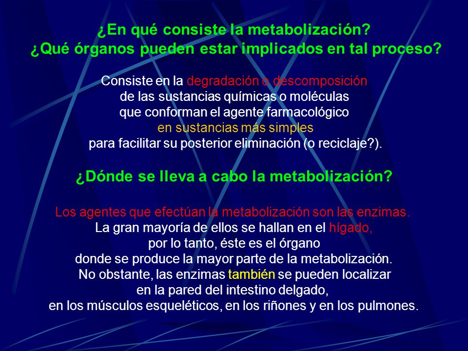 ¿En qué consiste la metabolización