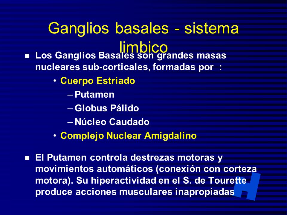 Ganglios basales - sistema limbico